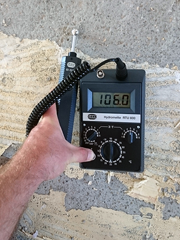 Drvo inspekt - Vještačenje