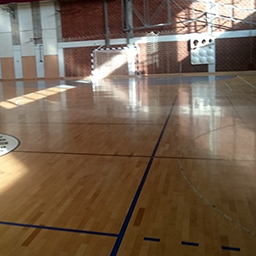 Sportski podovi športskih dvorana