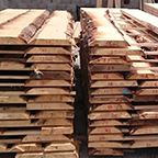 Drvo inspekt kontrola