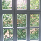 Drvo inspekt nadzori